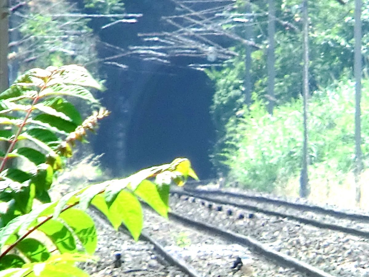 Cap Martin Tunnel eastern portal 
