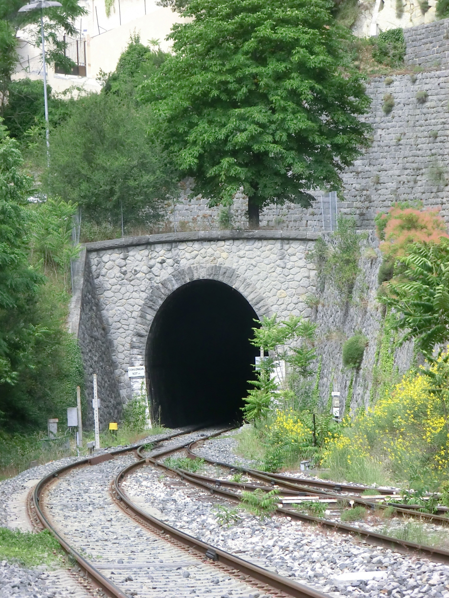 Tunnel Coalongia 