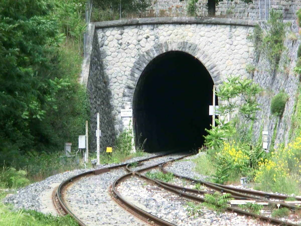 Coalongia Tunnel western portal 