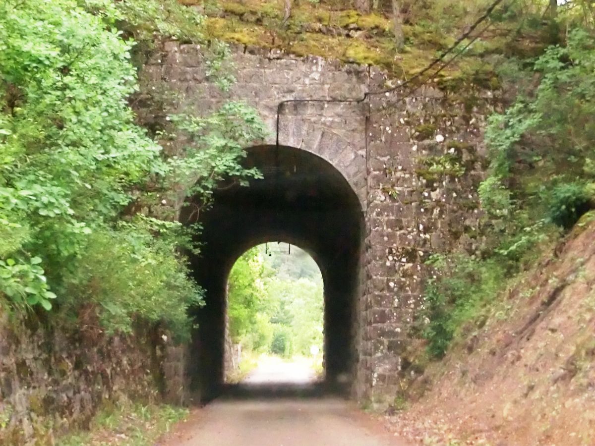 Ruine Tunnel northern portal 