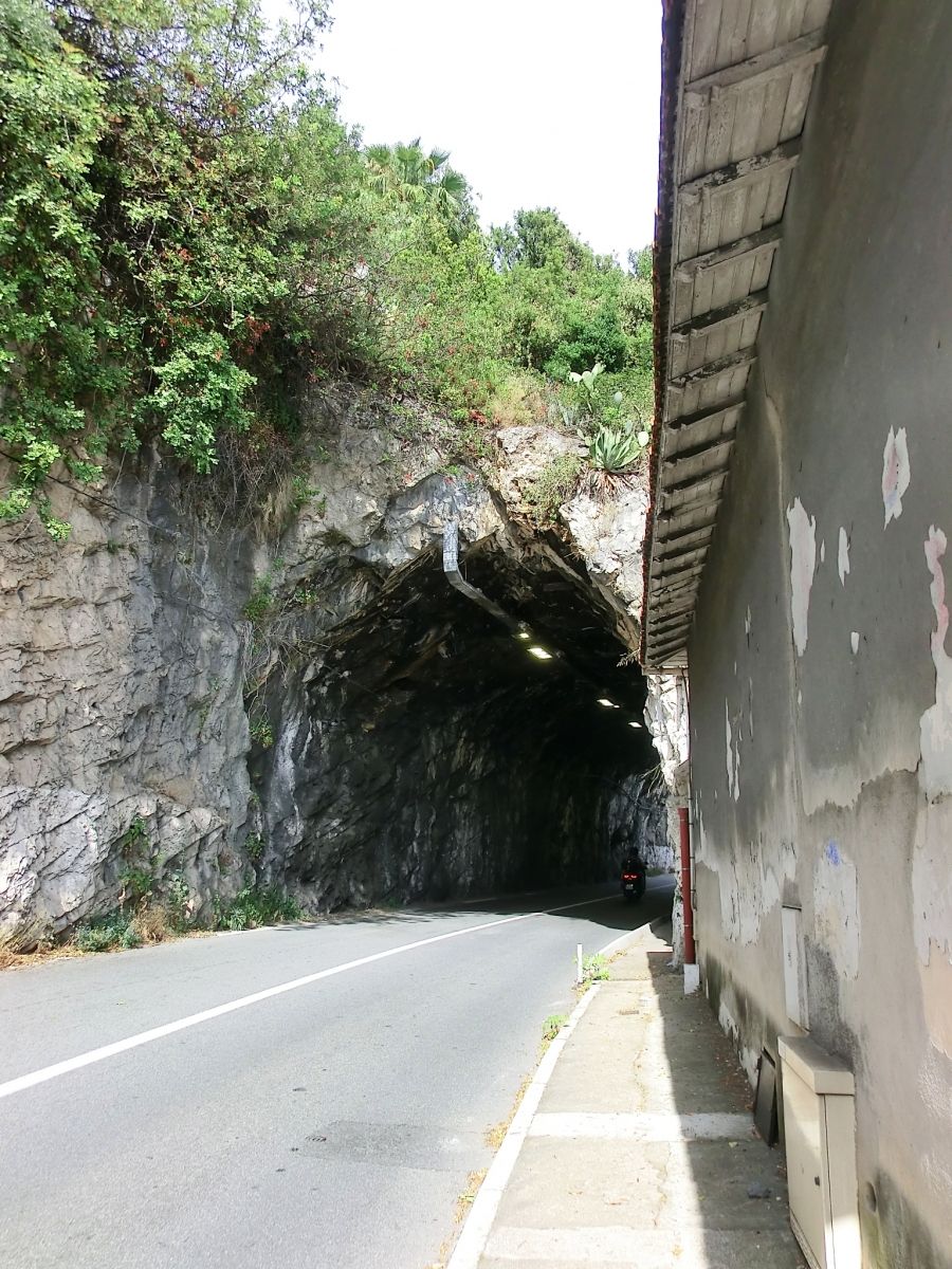 Tunnel de Mala 1 