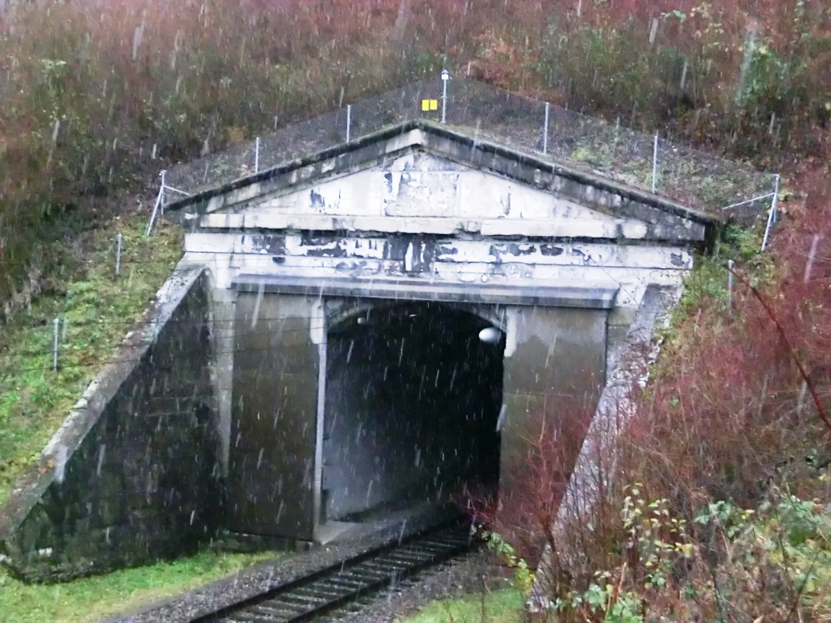 Hauenstein Tunnel southern portal 