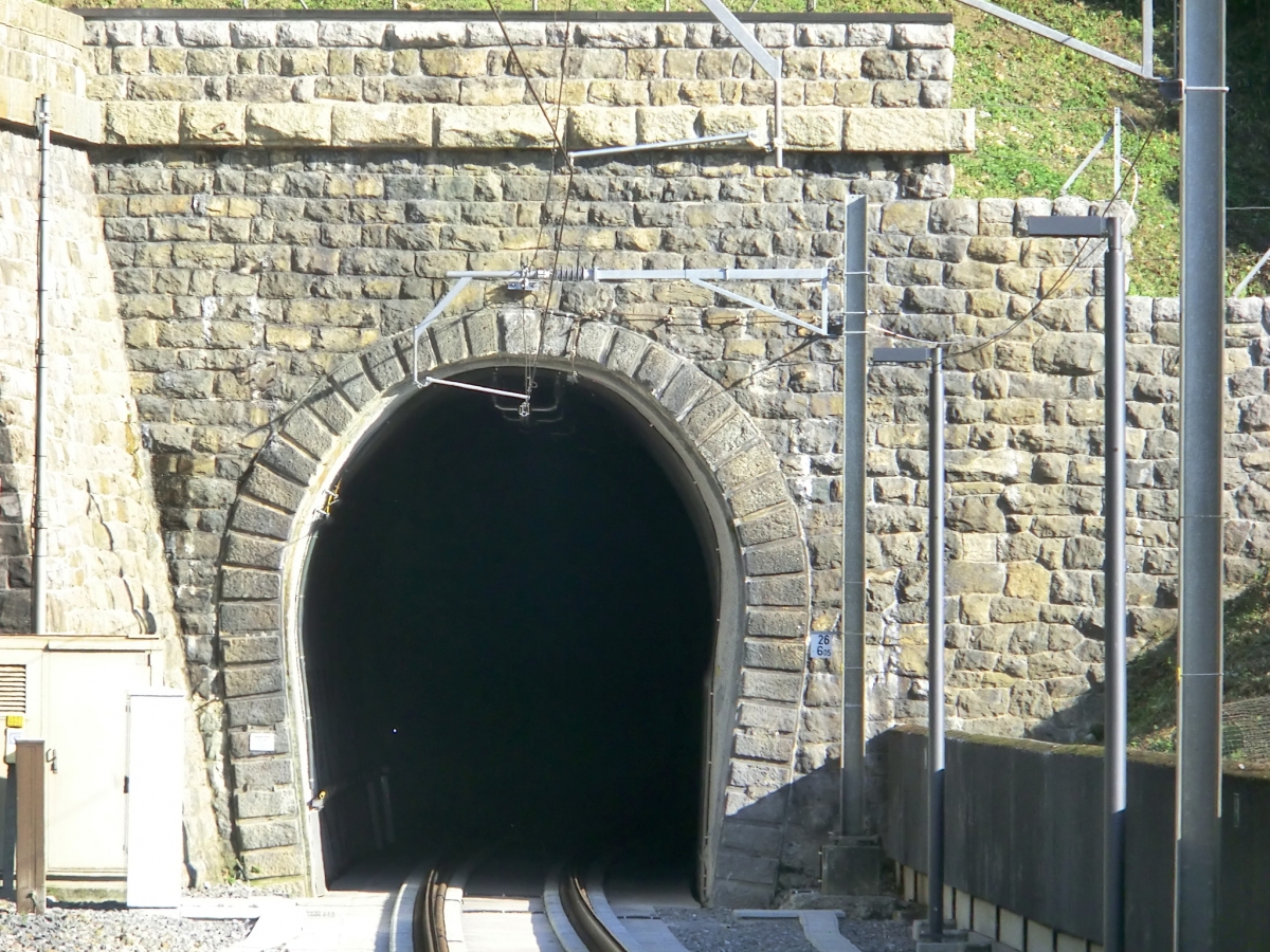 Stutzegg Tunnel northern portal 
