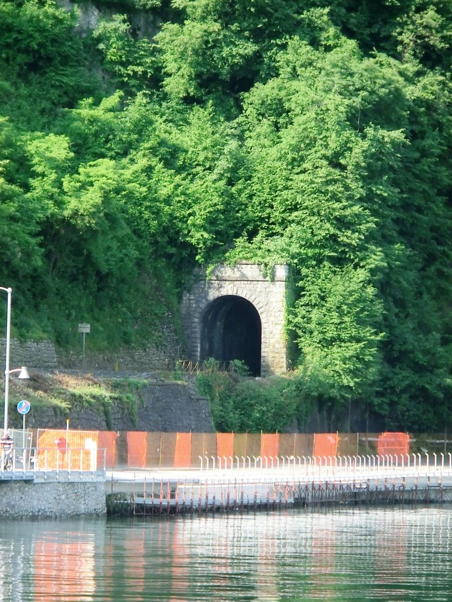 Predalva Tunnel northern portal 