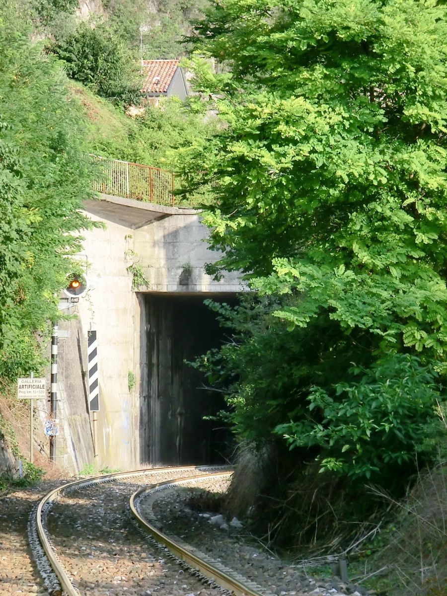 SS510 artificial Tunnel northern portal 