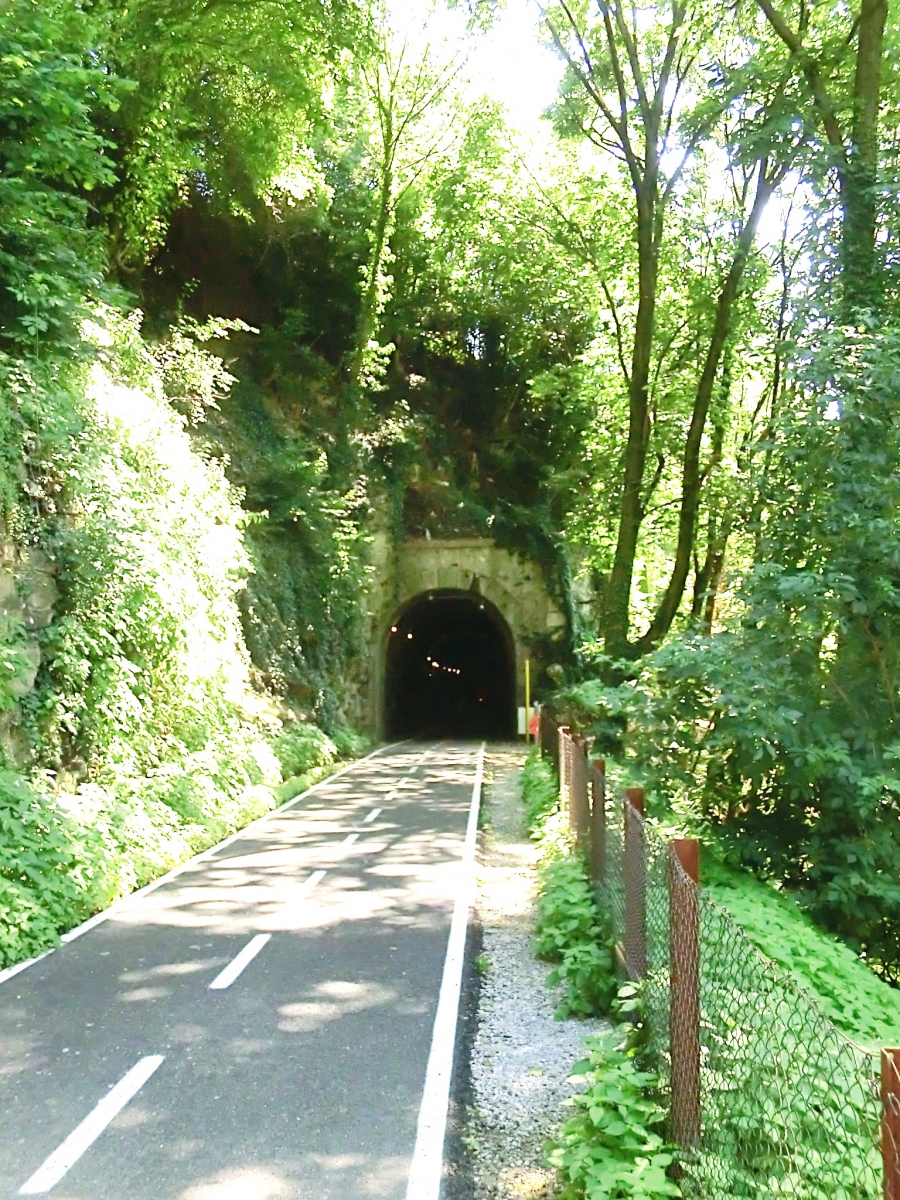 Camel Tunnel northern portal 