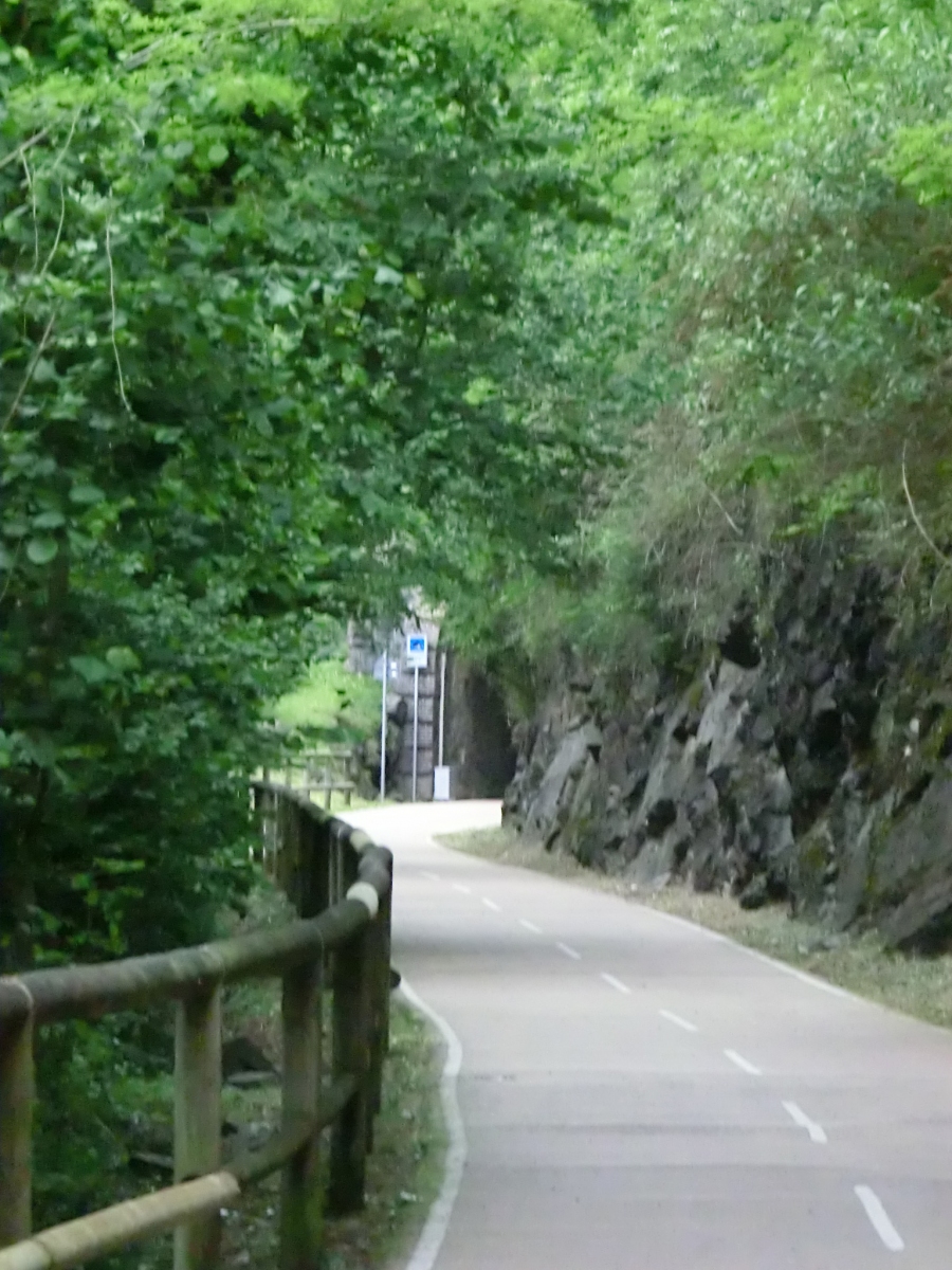 Ferrovia della Valle Brembana section at San Giovanni Bianco, now cycleway 