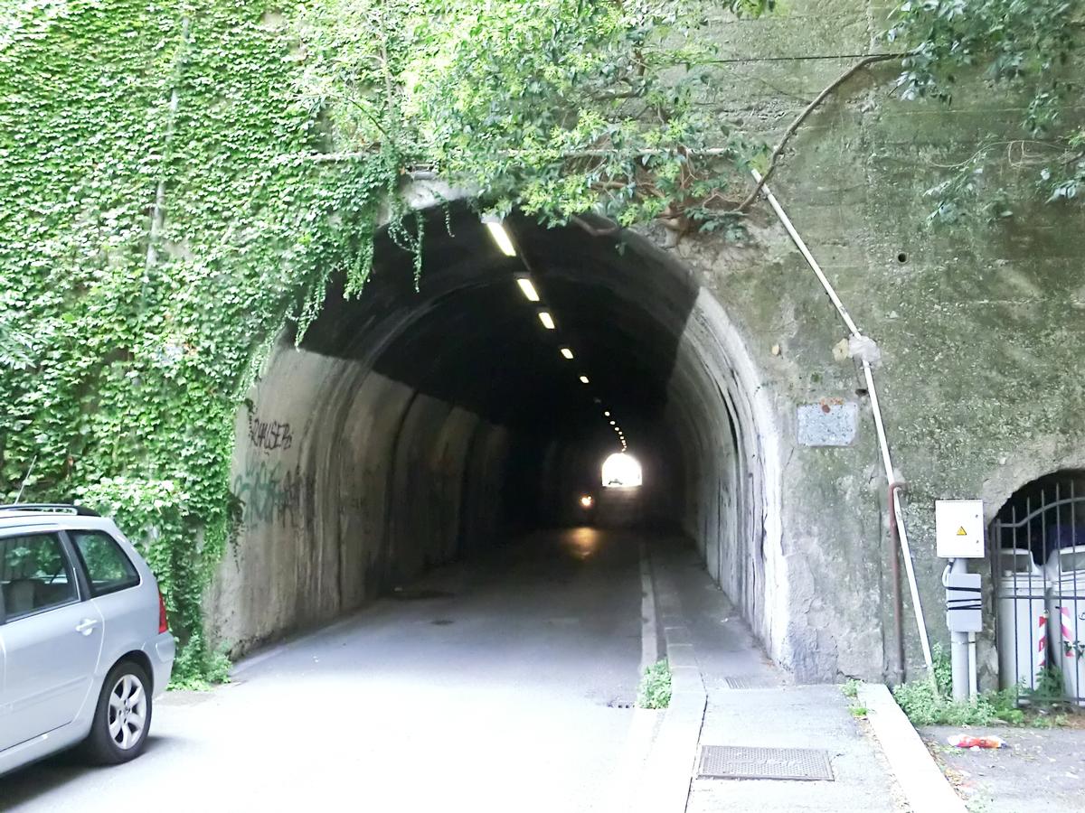 Paleocapa Tunnel eastern portal 
