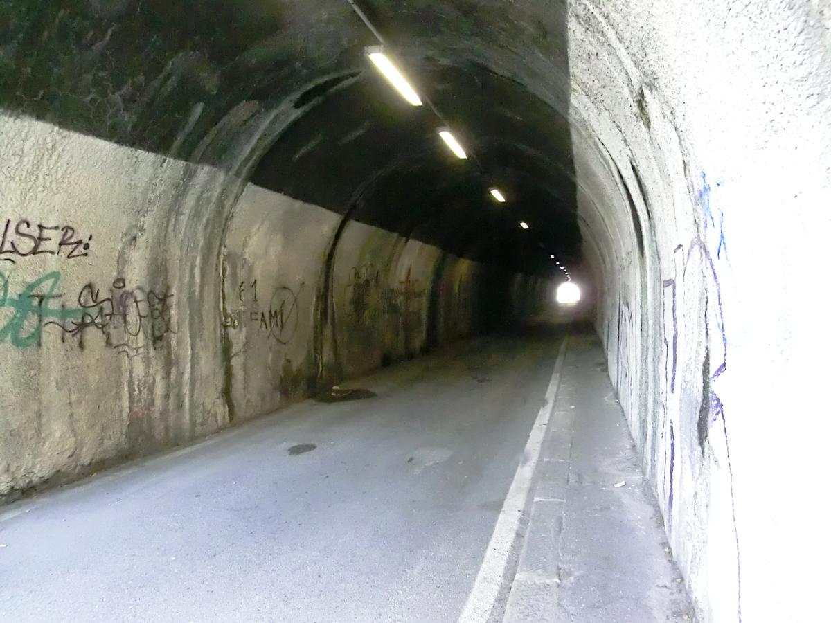 Tunnel de Paleocapa 