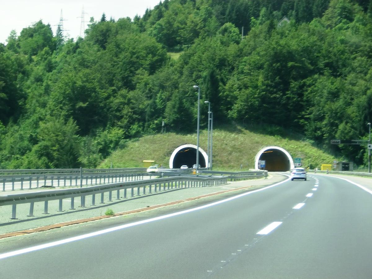 Cardak Tunnel eastern portals 
