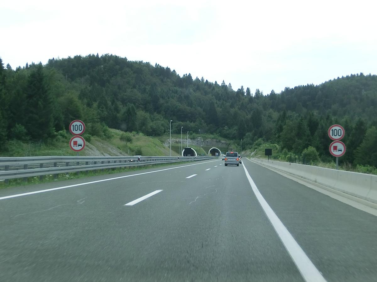Lučice Tunnel eastern portals 