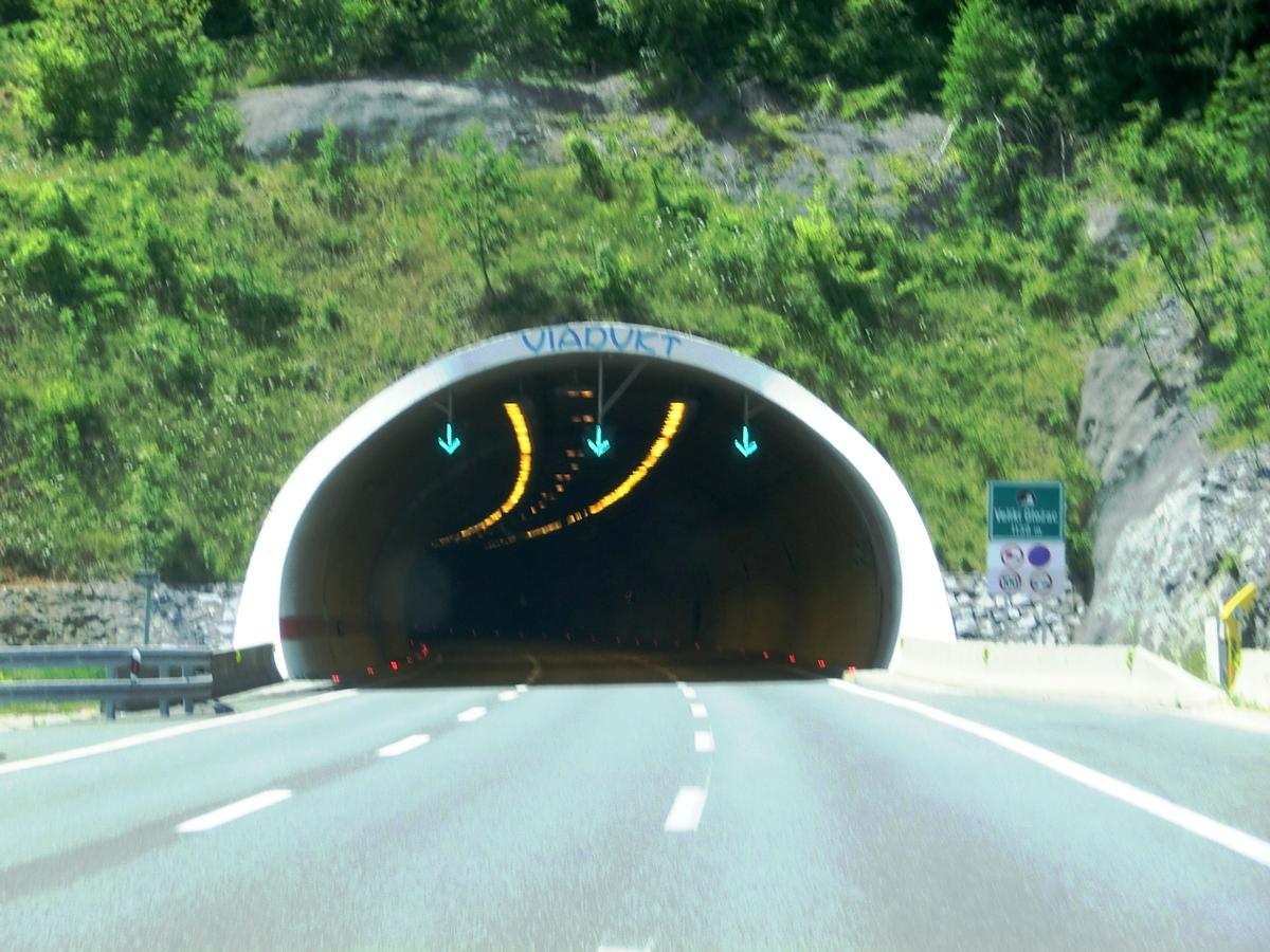 Veliki Glozac Tunnel eastern portal 