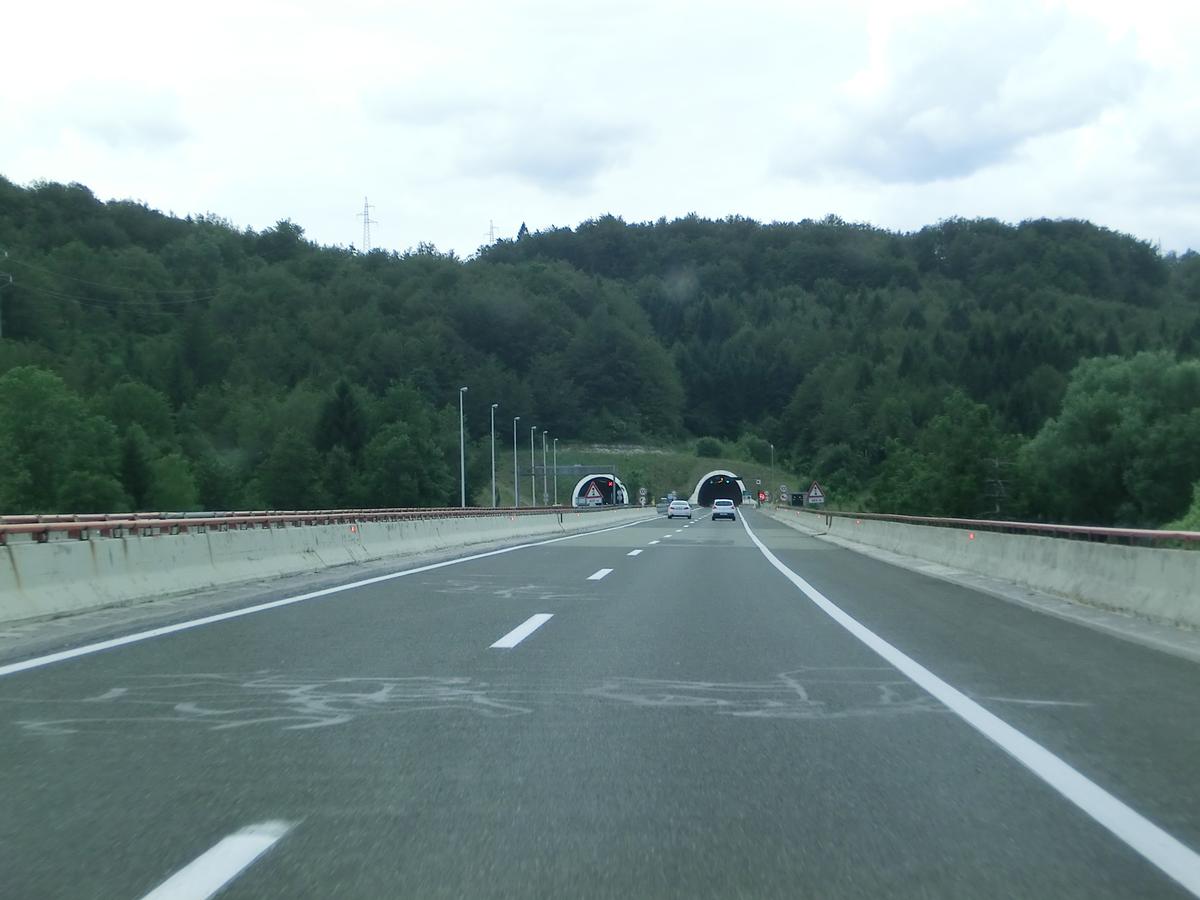 Vršek Tunnel eastern portals 