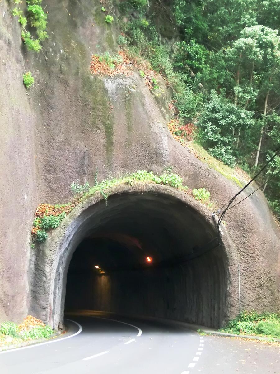 Moitadinhas Tunnel northern portal 