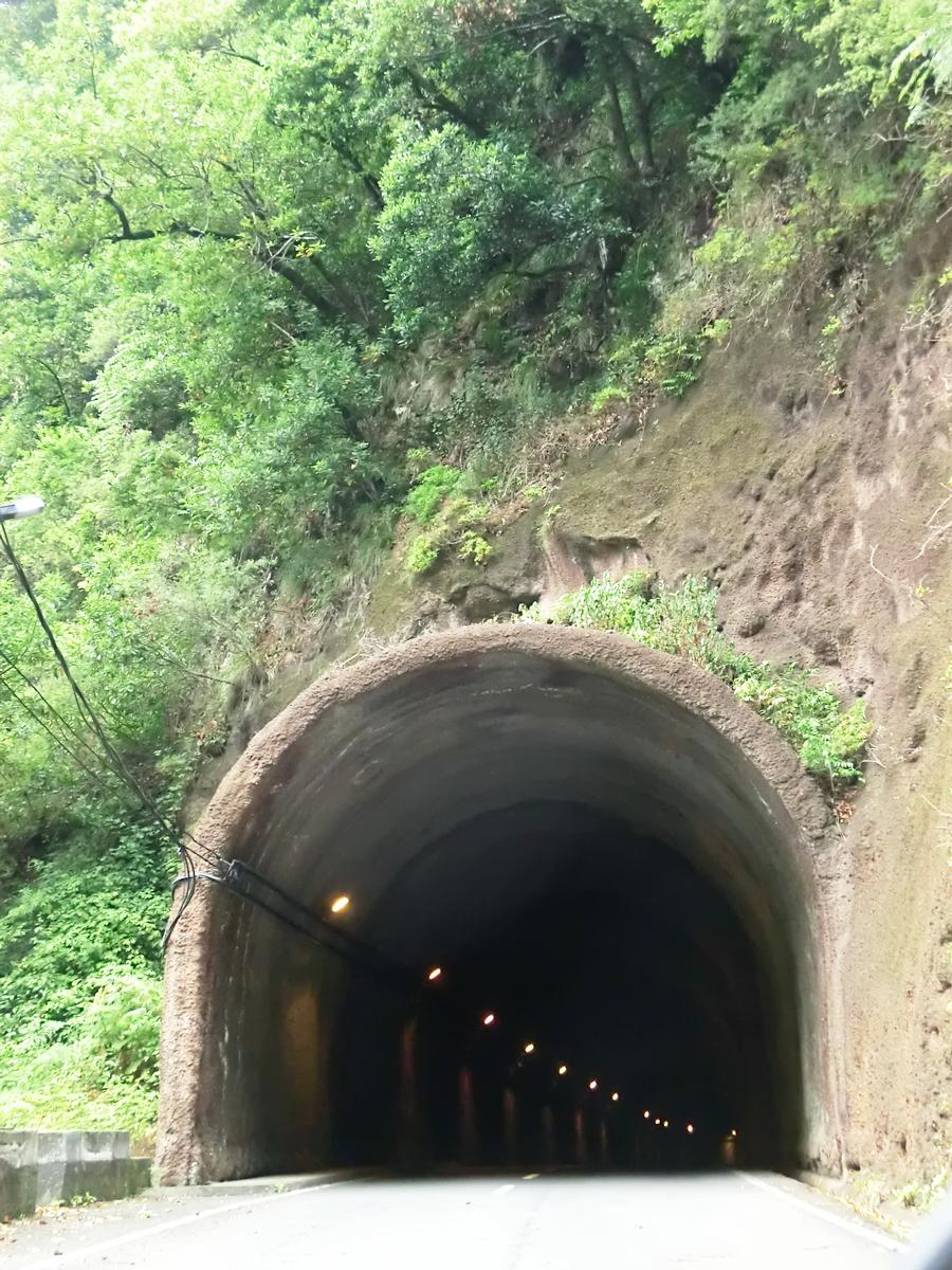 Moitadinhas Tunnel southern portal 
