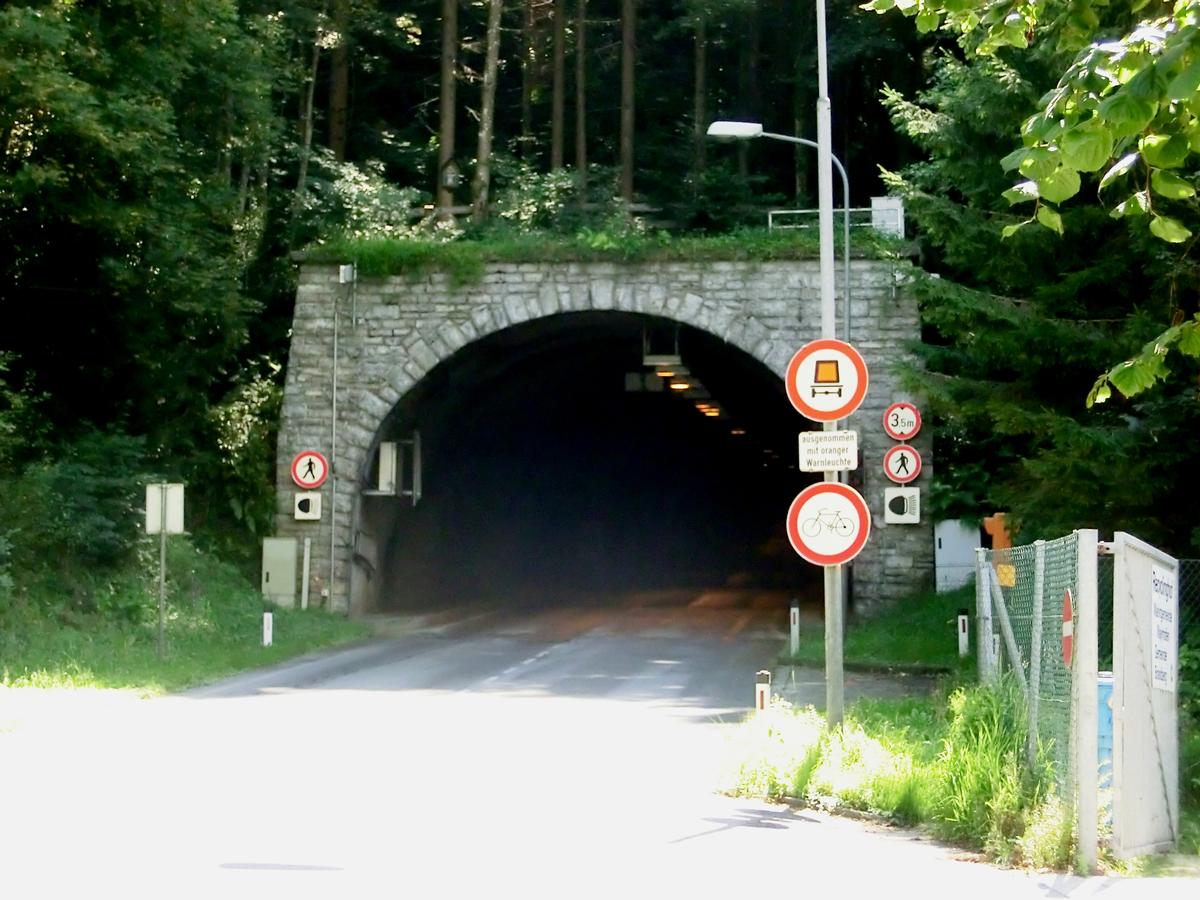 Brandbergtunnel northern portal 
