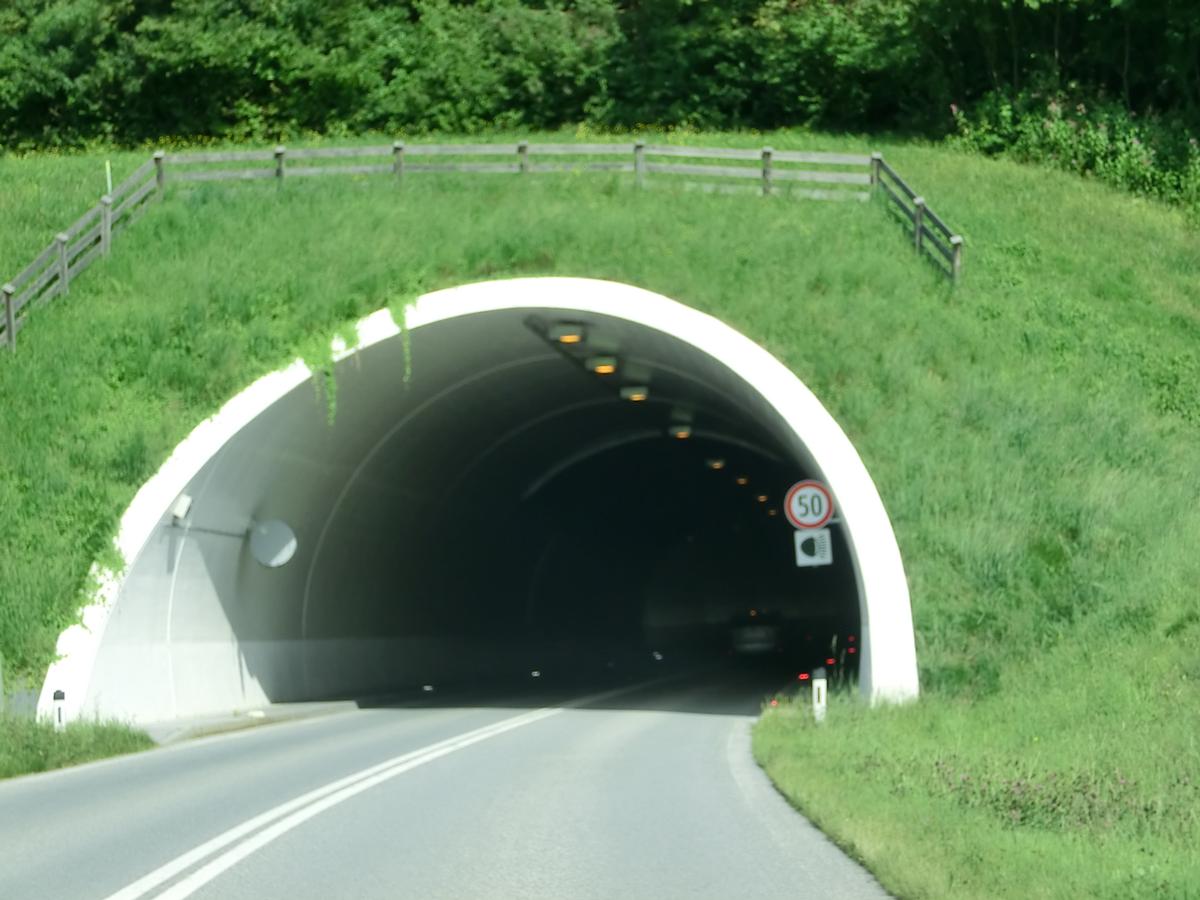 Reith Tunnel northern portal 
