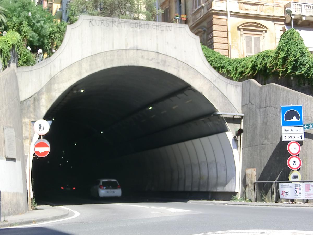 Tunnel Spallanzani 