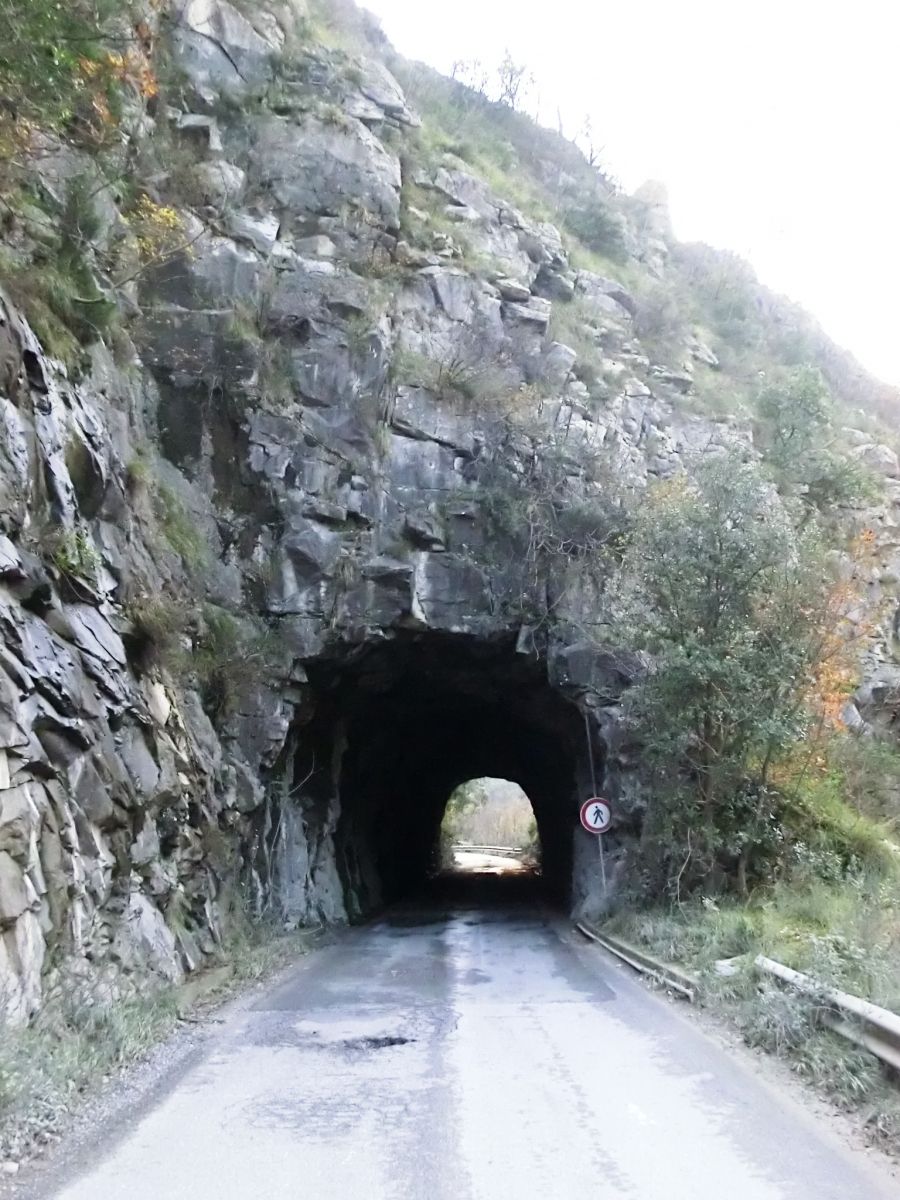 Tunnel de Crestola 