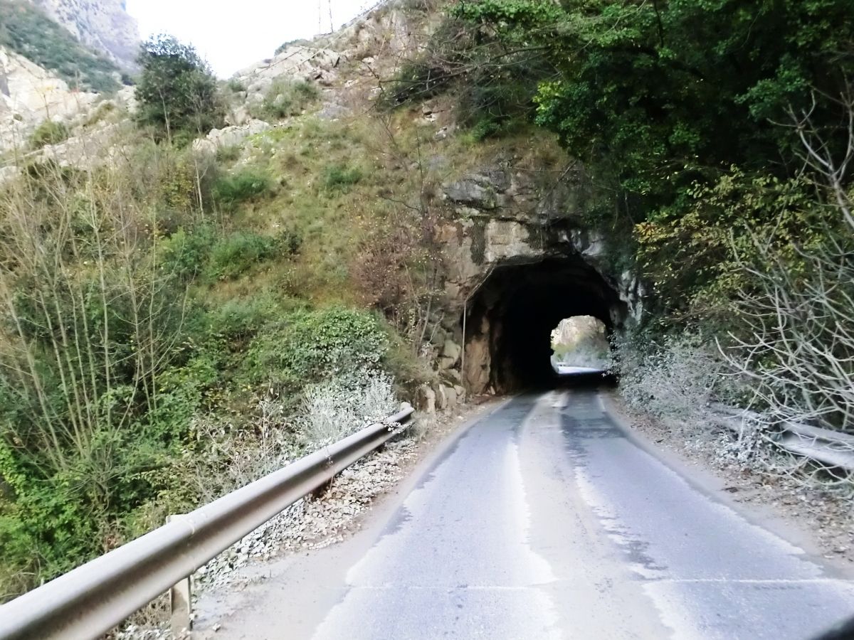 Crestola Tunnel southern portal 