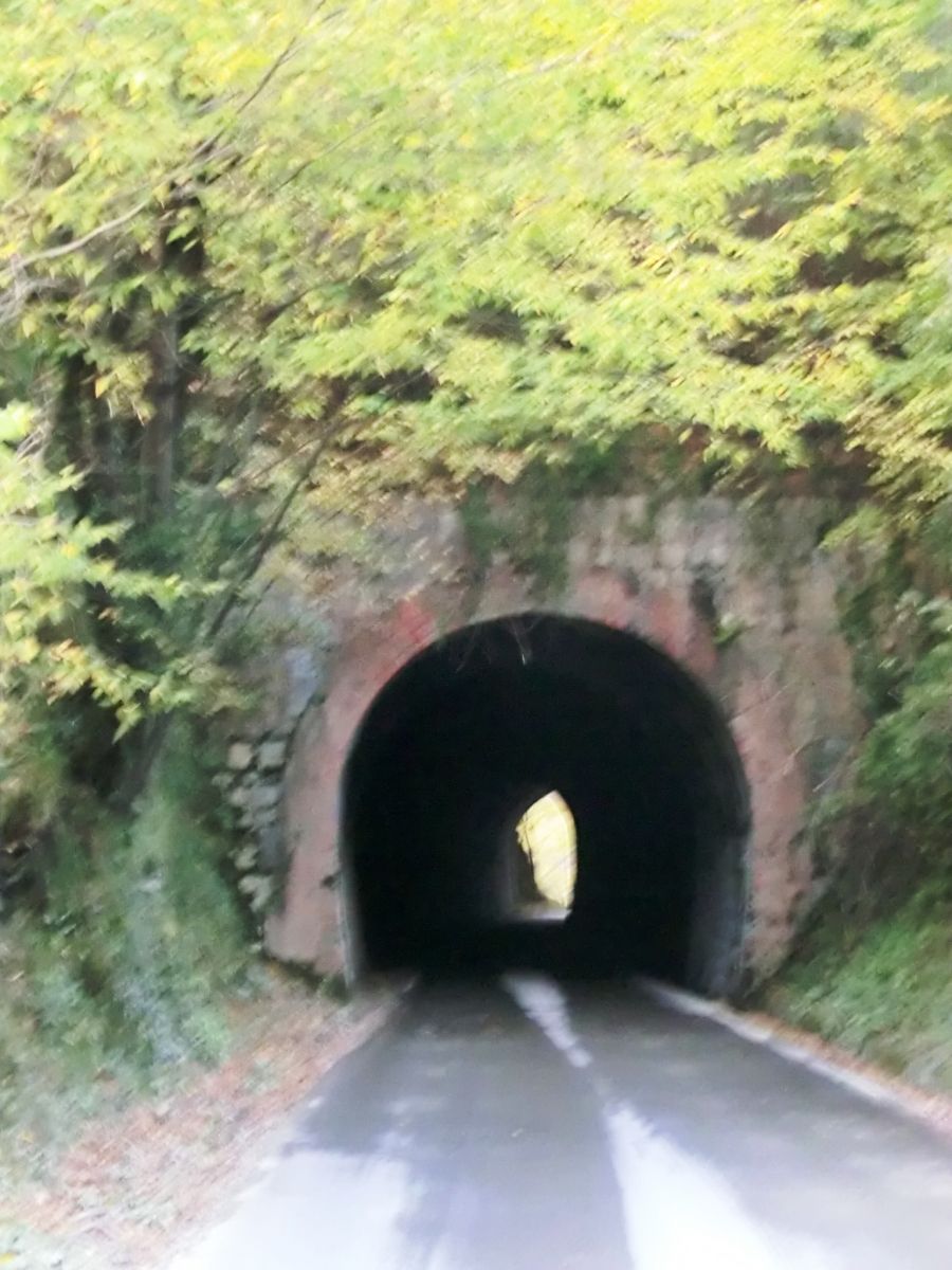 Miseglia III Tunnel eastern portal 