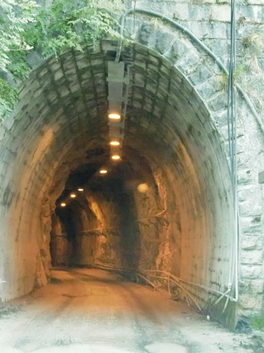 Monte Novelli Tunnel northern portal 