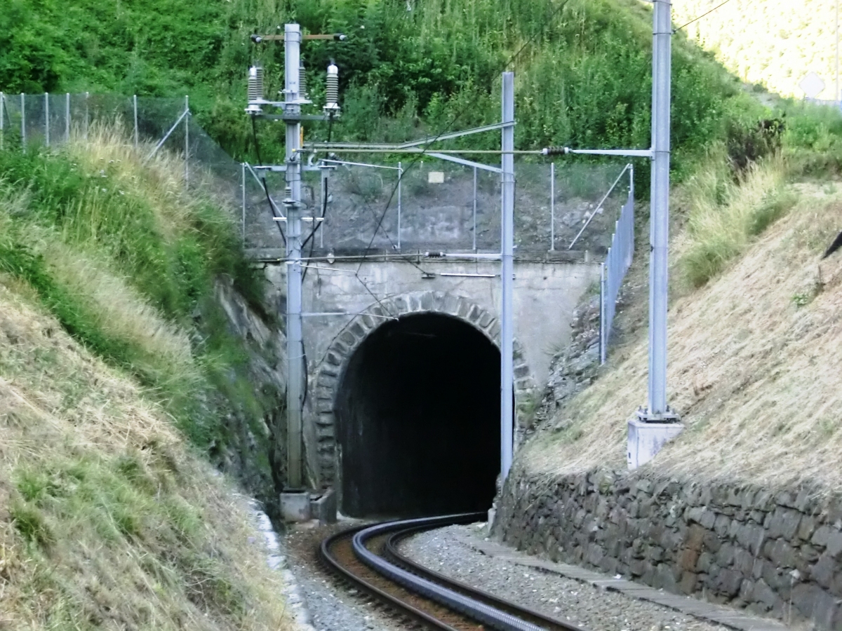 Nassbäumen Tunnel western portal 