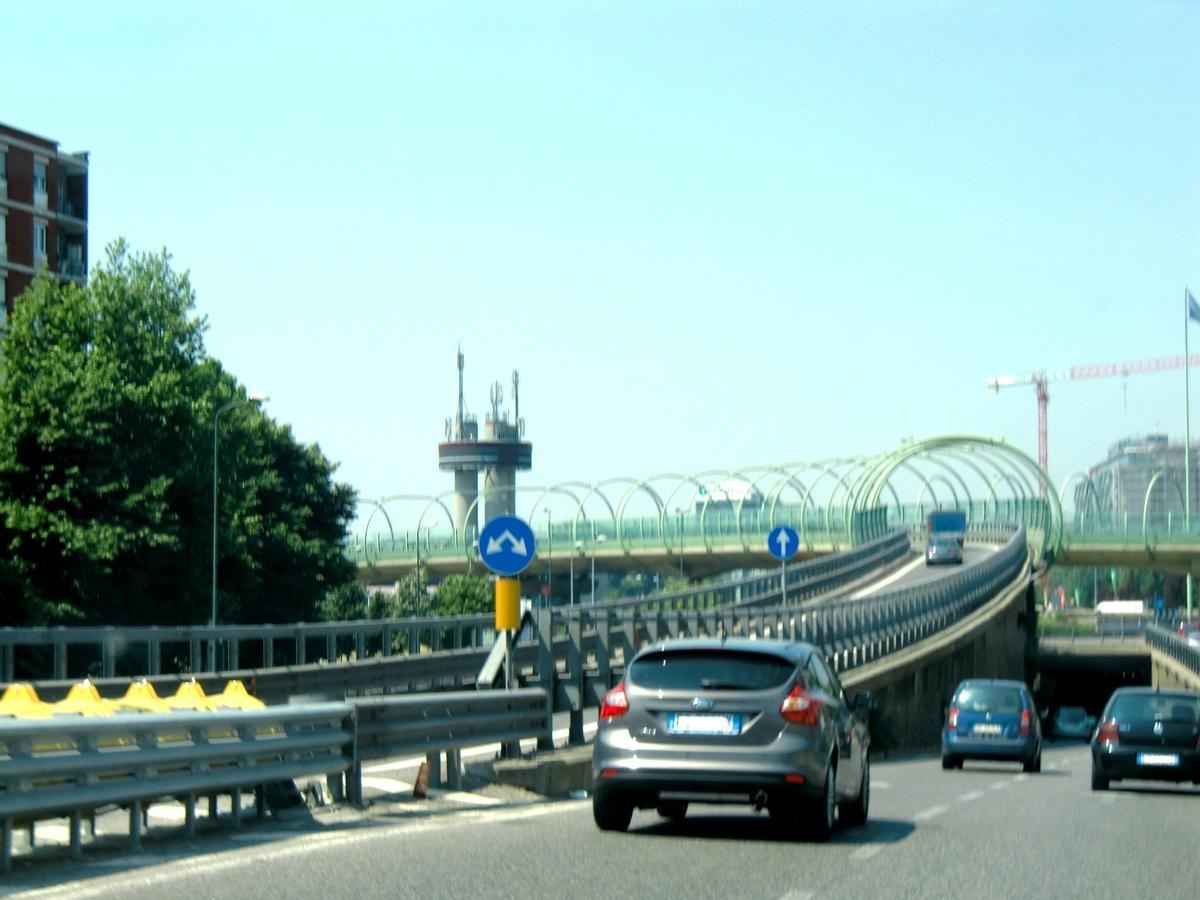 Maggi Viaducts 