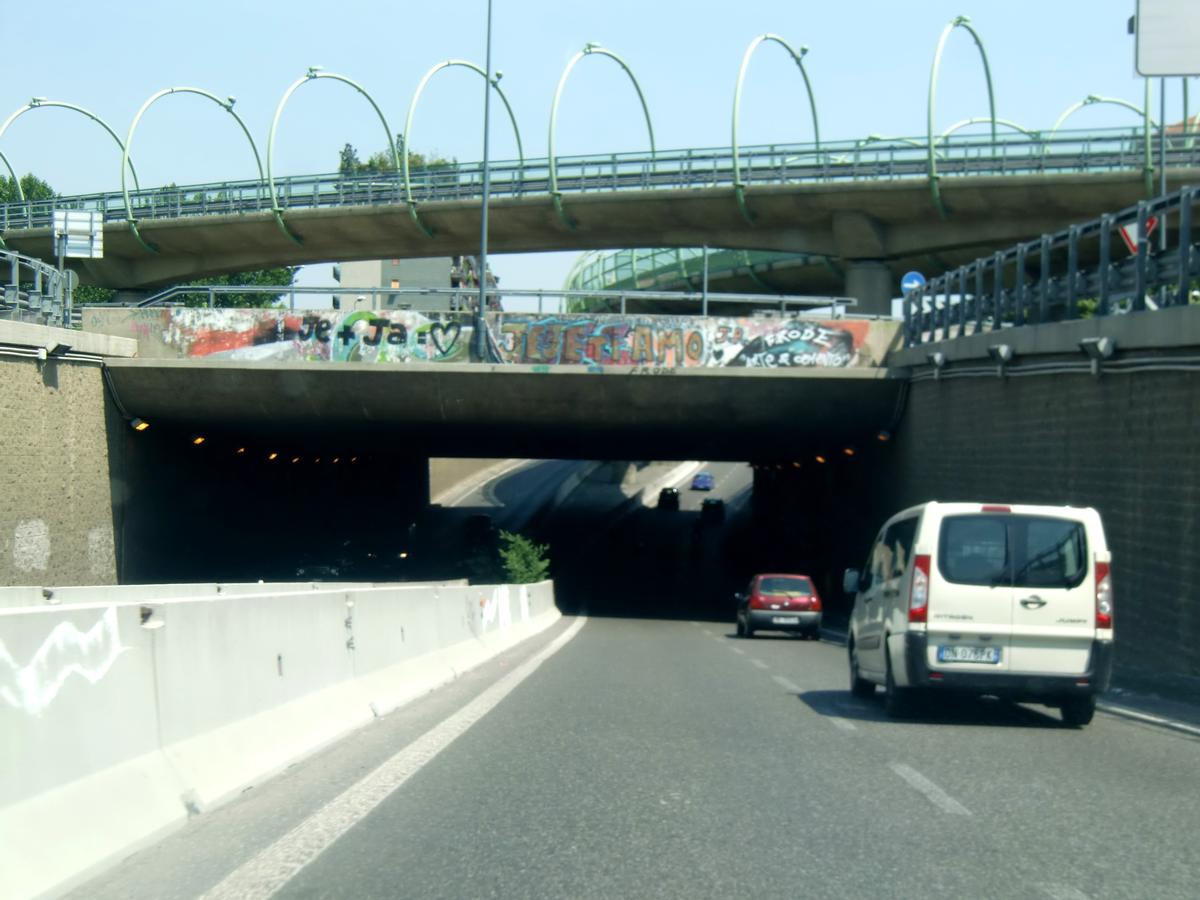 Maggi Tunnel and viaducts 