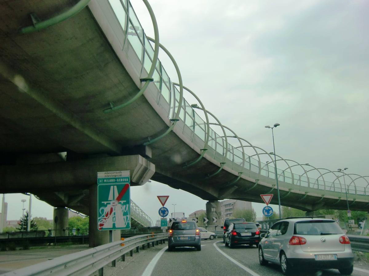 Maggi Viaducts 