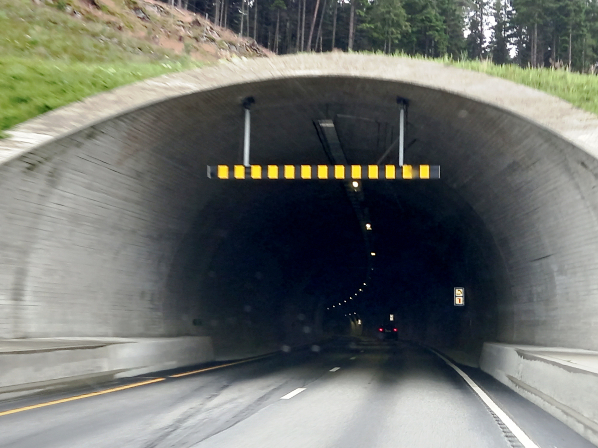 Tunnel de Lyshorn 