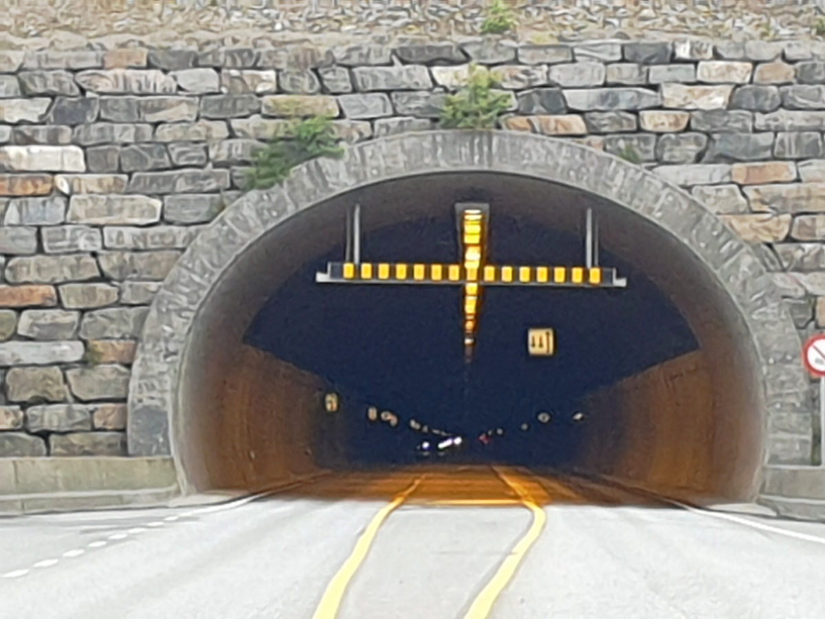 Tunnel de Fordesfjord 