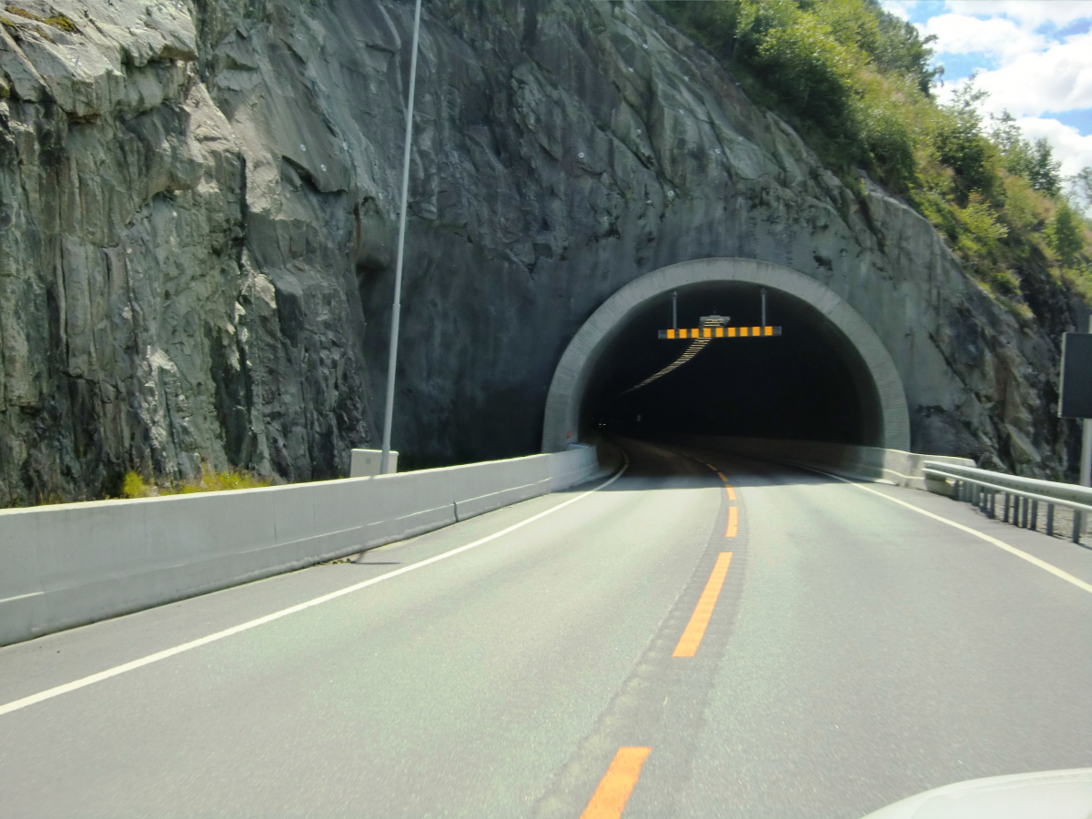 Tunnel de Gotevik 