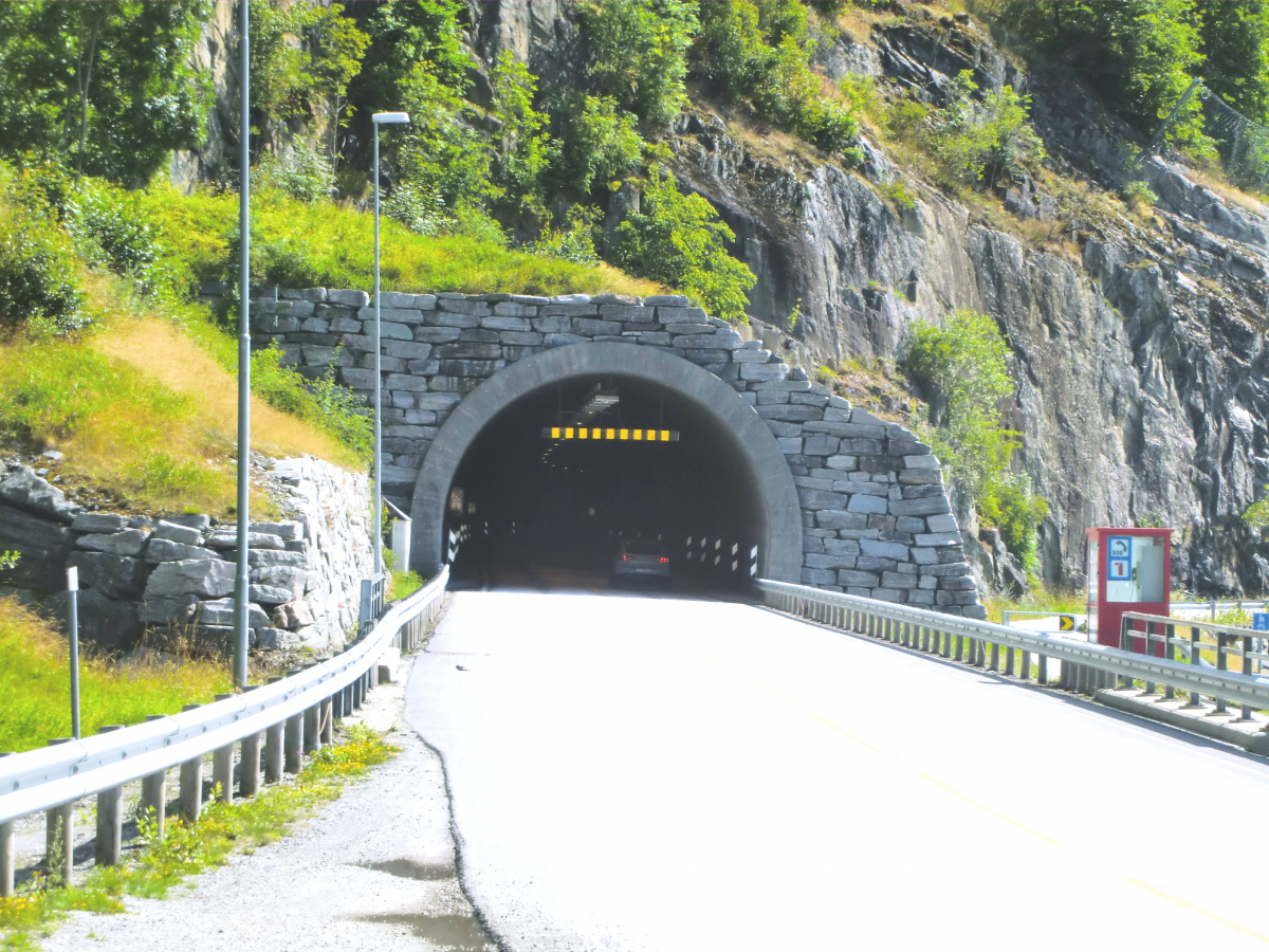 Stedjeberg-Tunnel 