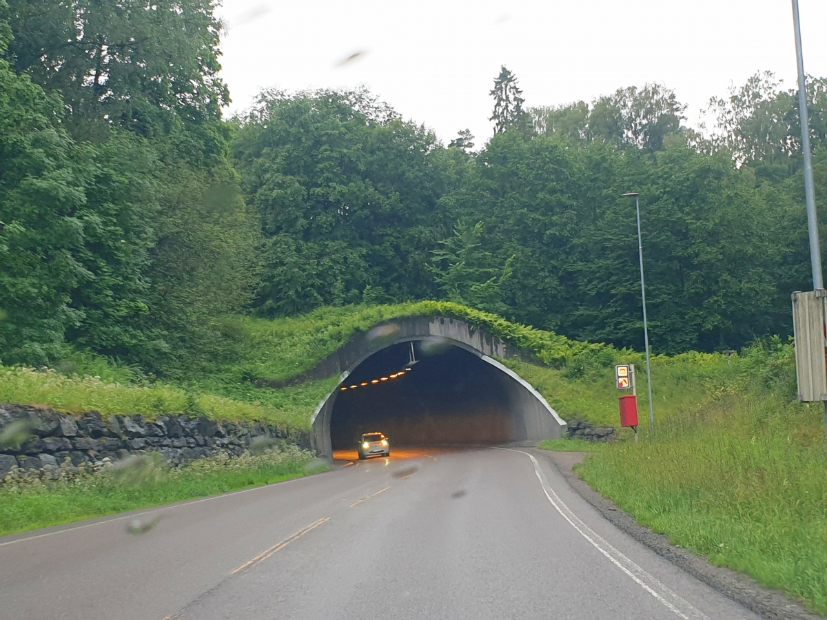 Vabakken Tunnel 