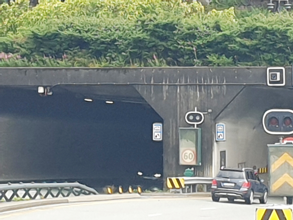 Damsgård Tunnel 