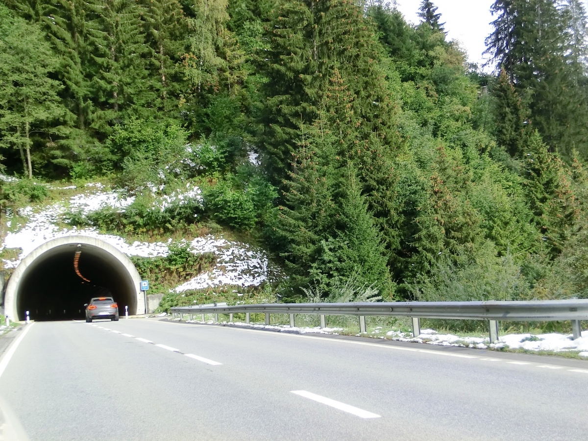 Tunnel Crestas 