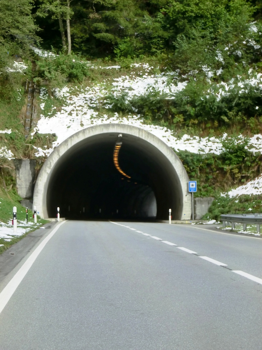 Crestas Tunnel western portal 