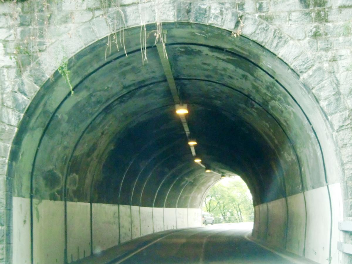 Gandria I Tunnel eastern portal 