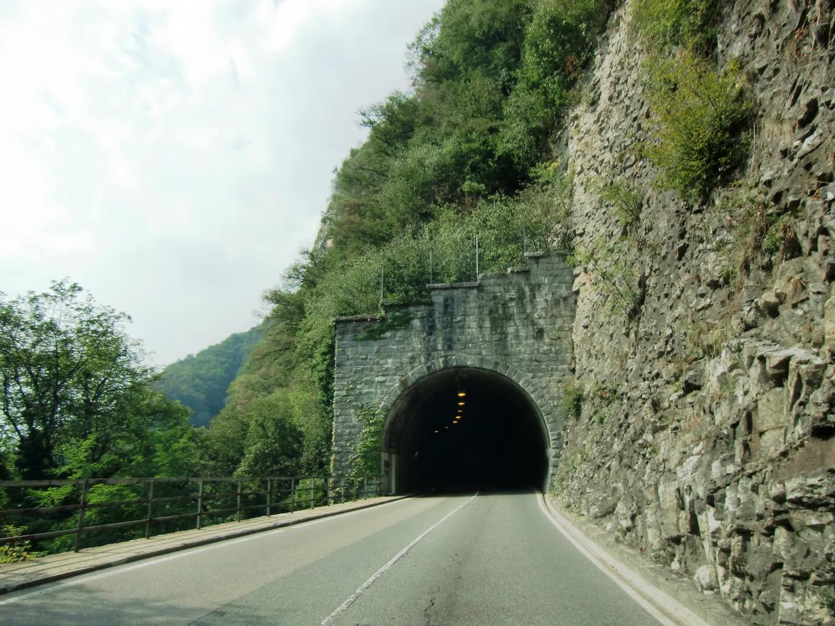 Gandria II Tunnel eastern portal 
