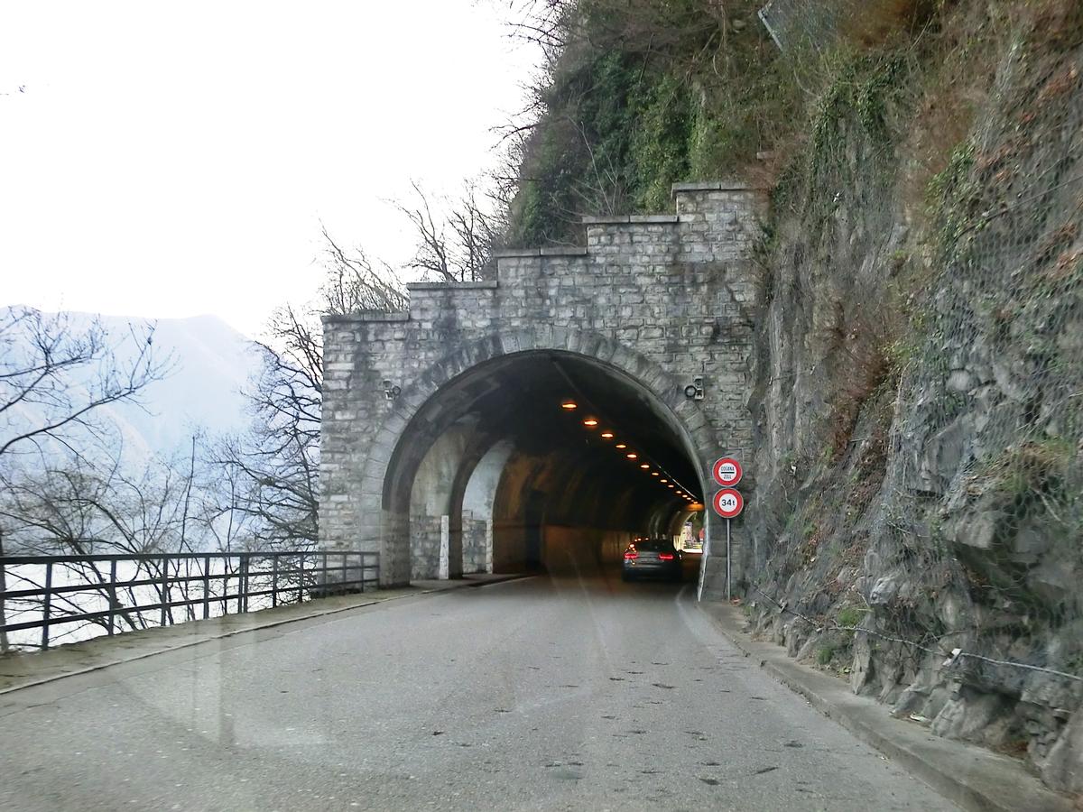 Tunnel Dogana 