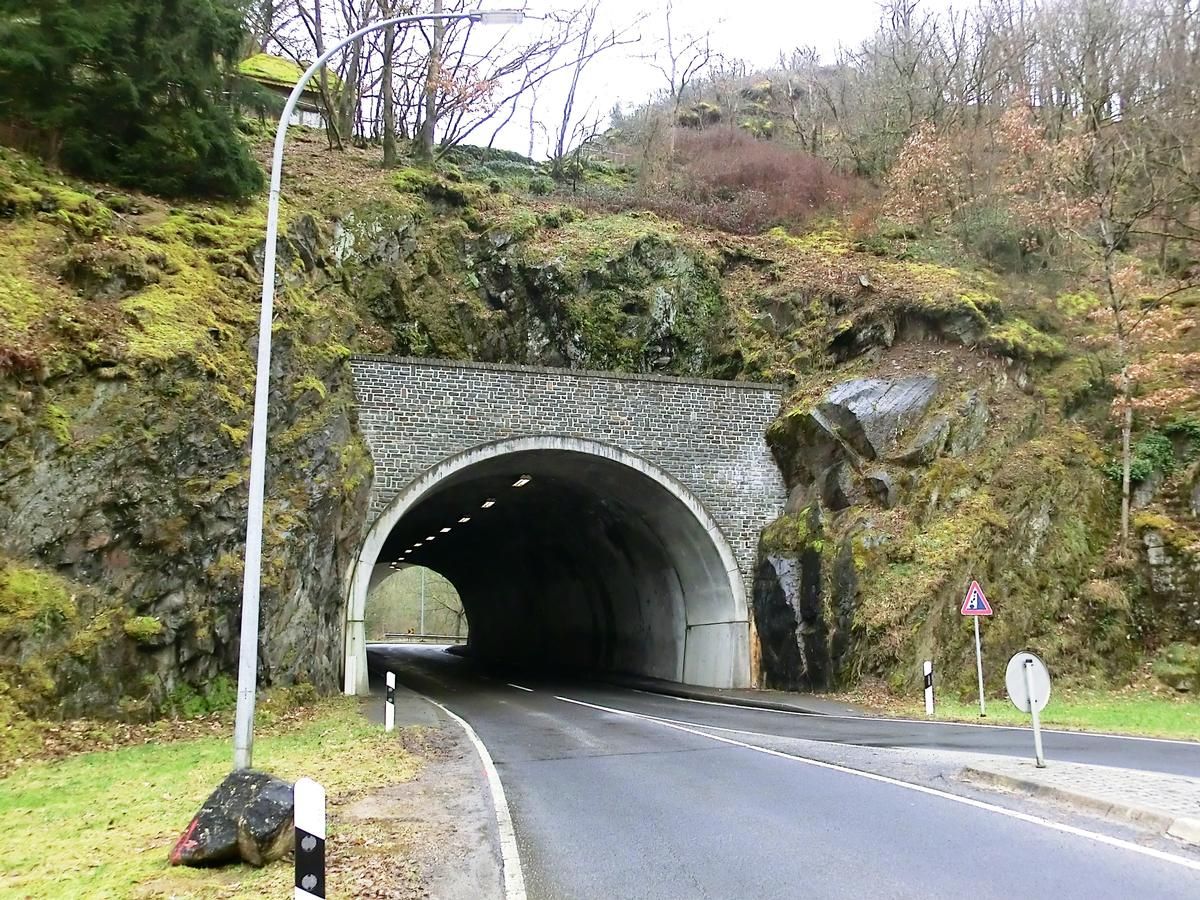 Sebes Tunnel eastern portal 