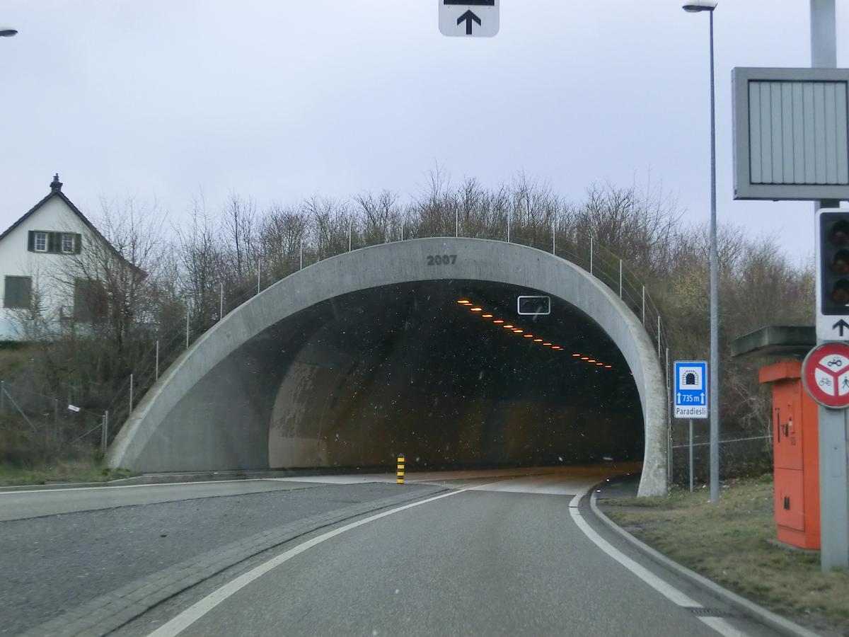 Paradiesli Tunnel southern portal 