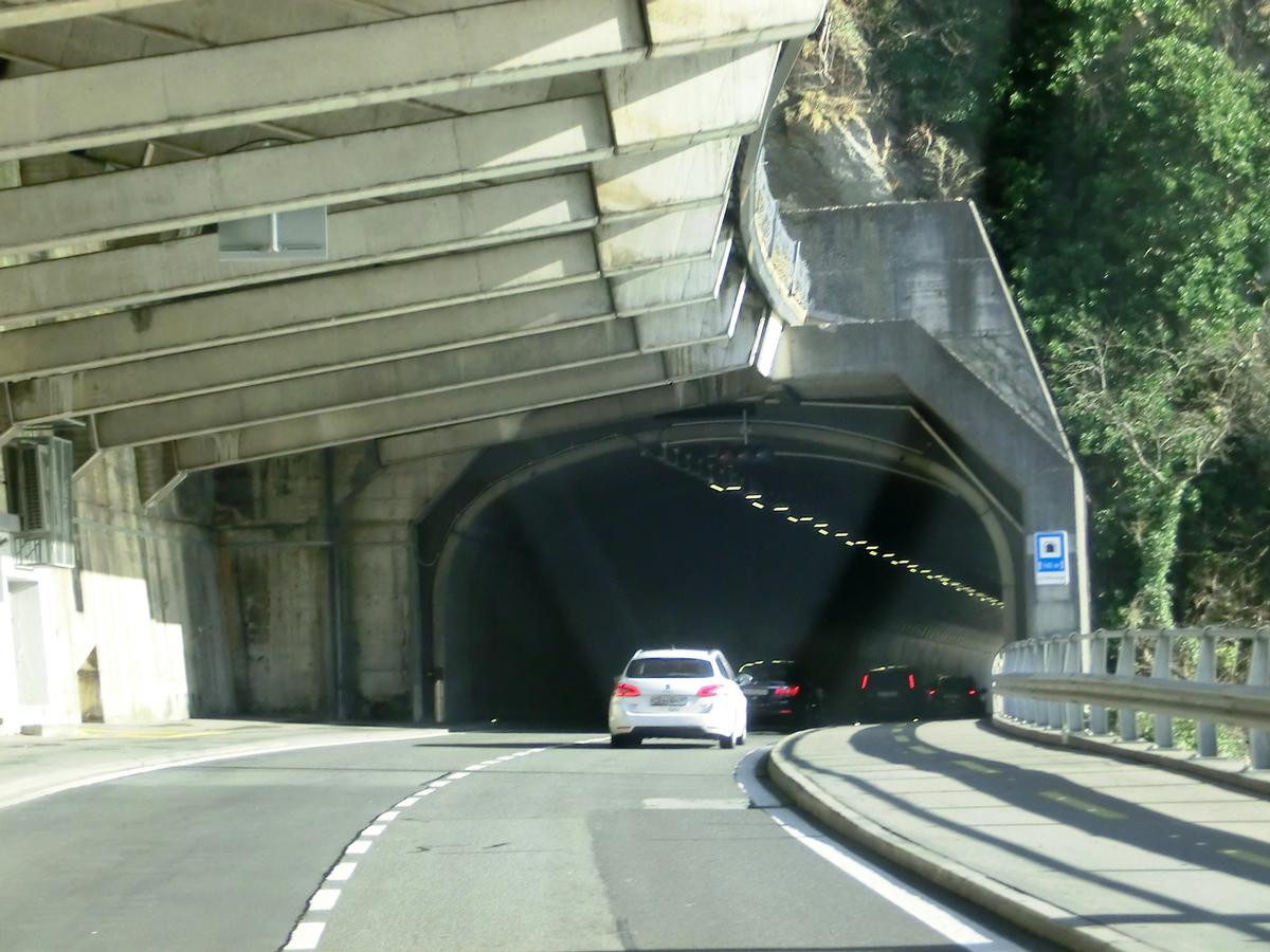 Schiefernegg Tunnel northern portal 