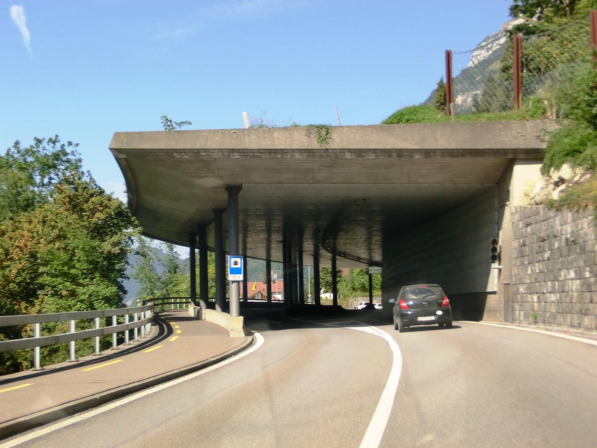 Tellsplatte Tunnel southern portal 