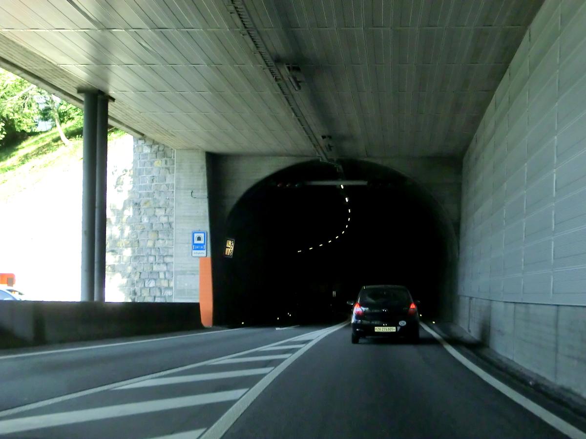 Tunnel de Tellsplatte 