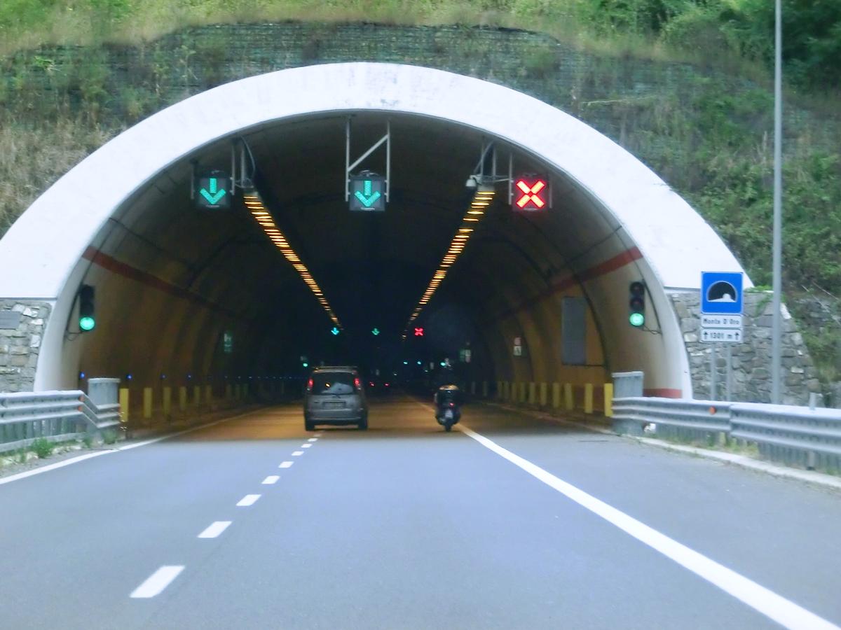Monte d'Oro Tunnel southern portal 