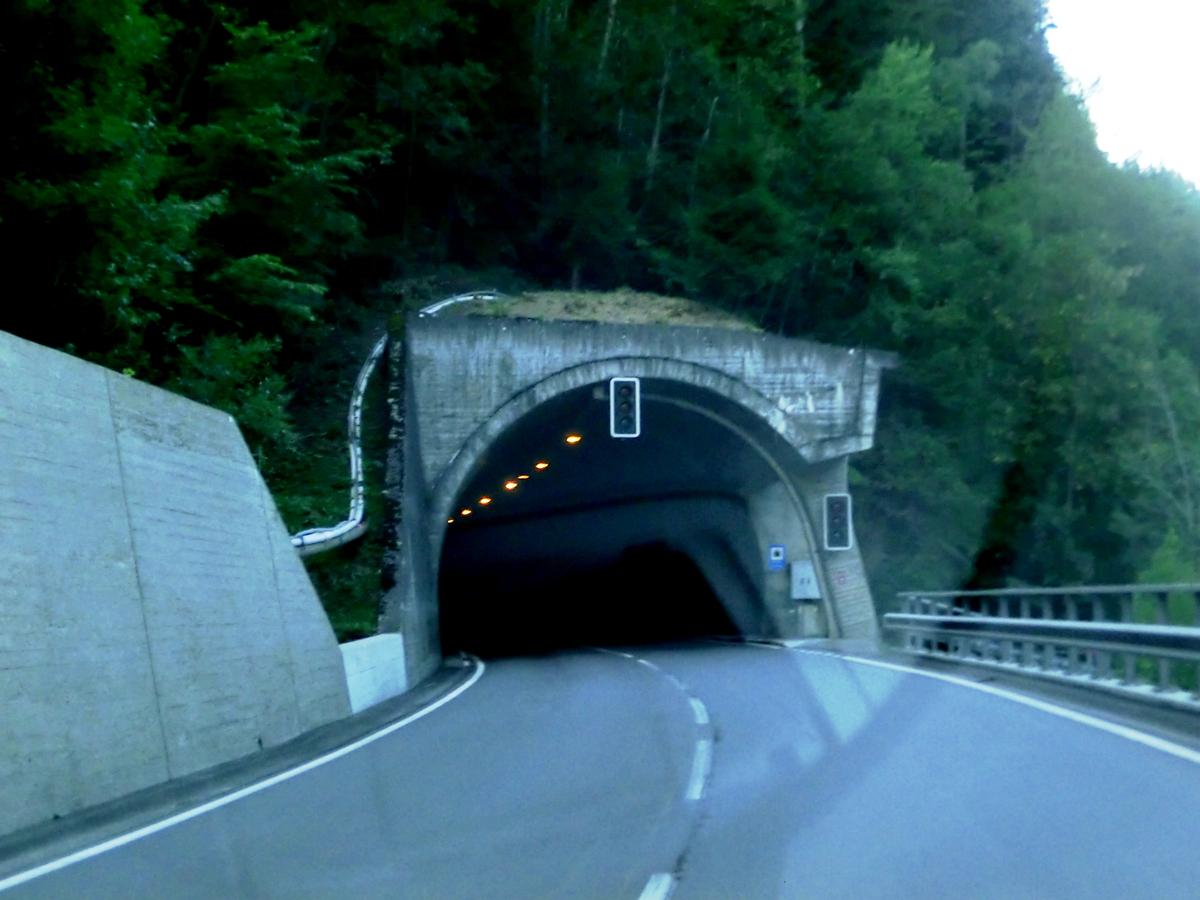 Passmal road Tunnel eastern portal 