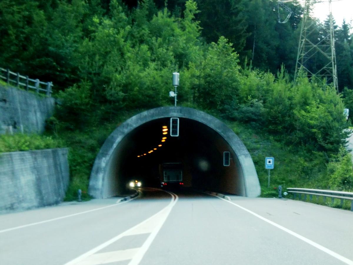 Sils Tunnel eastern portal 