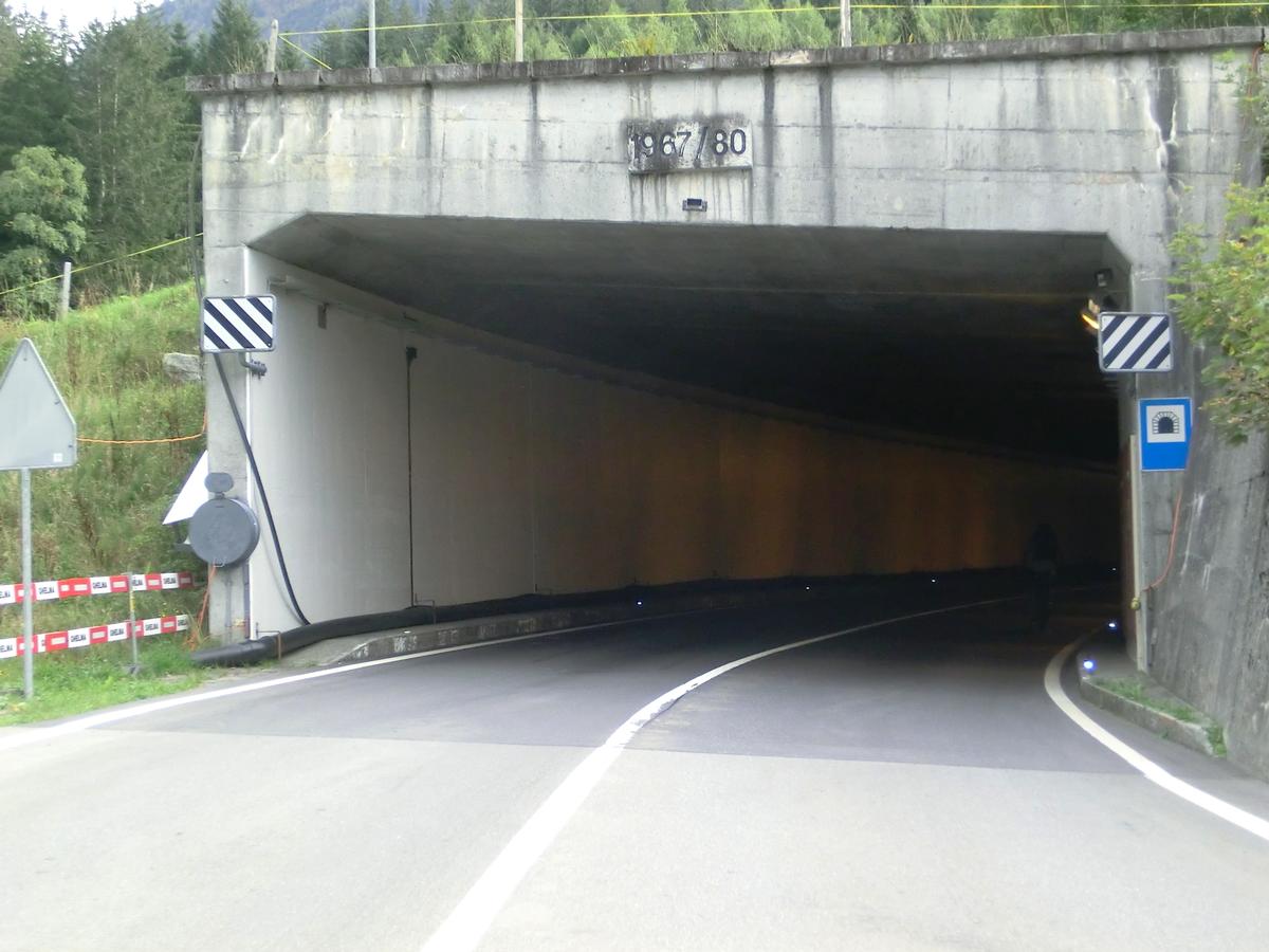 Guttannen Tunnel northern portal 